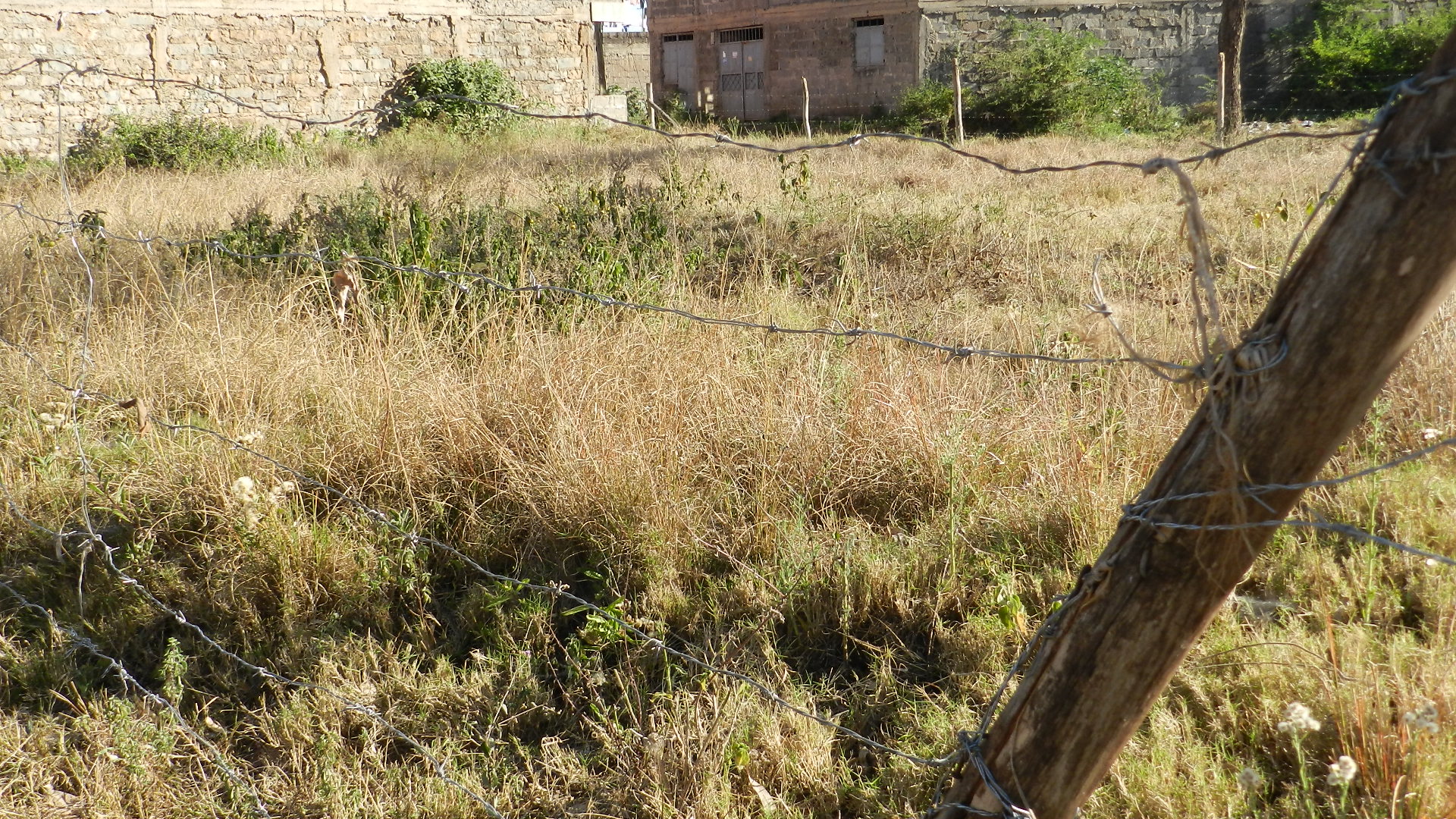 75X100plot of land in Kenol for sale
