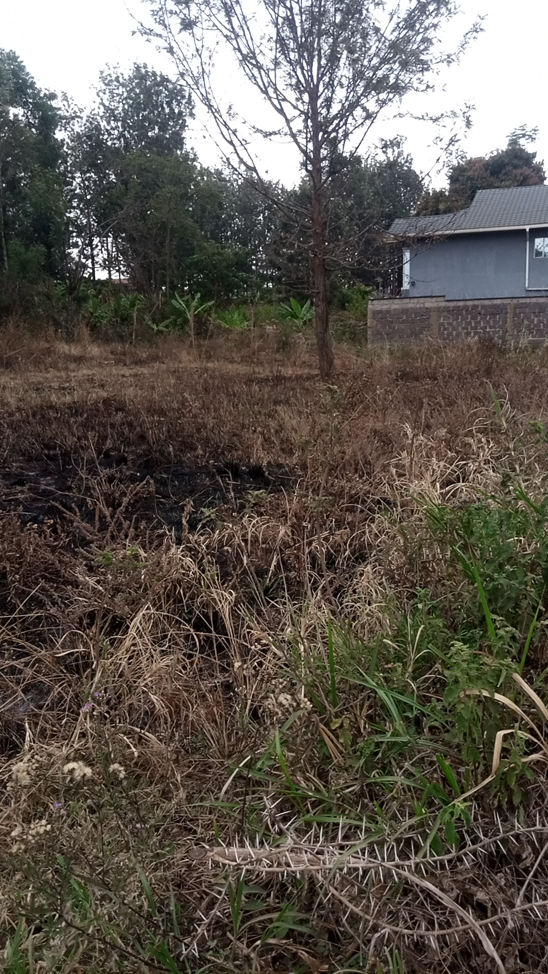 Half acre land at Kshs 11 Million in Kenol town, Karurumo, Kenya - Photo 4