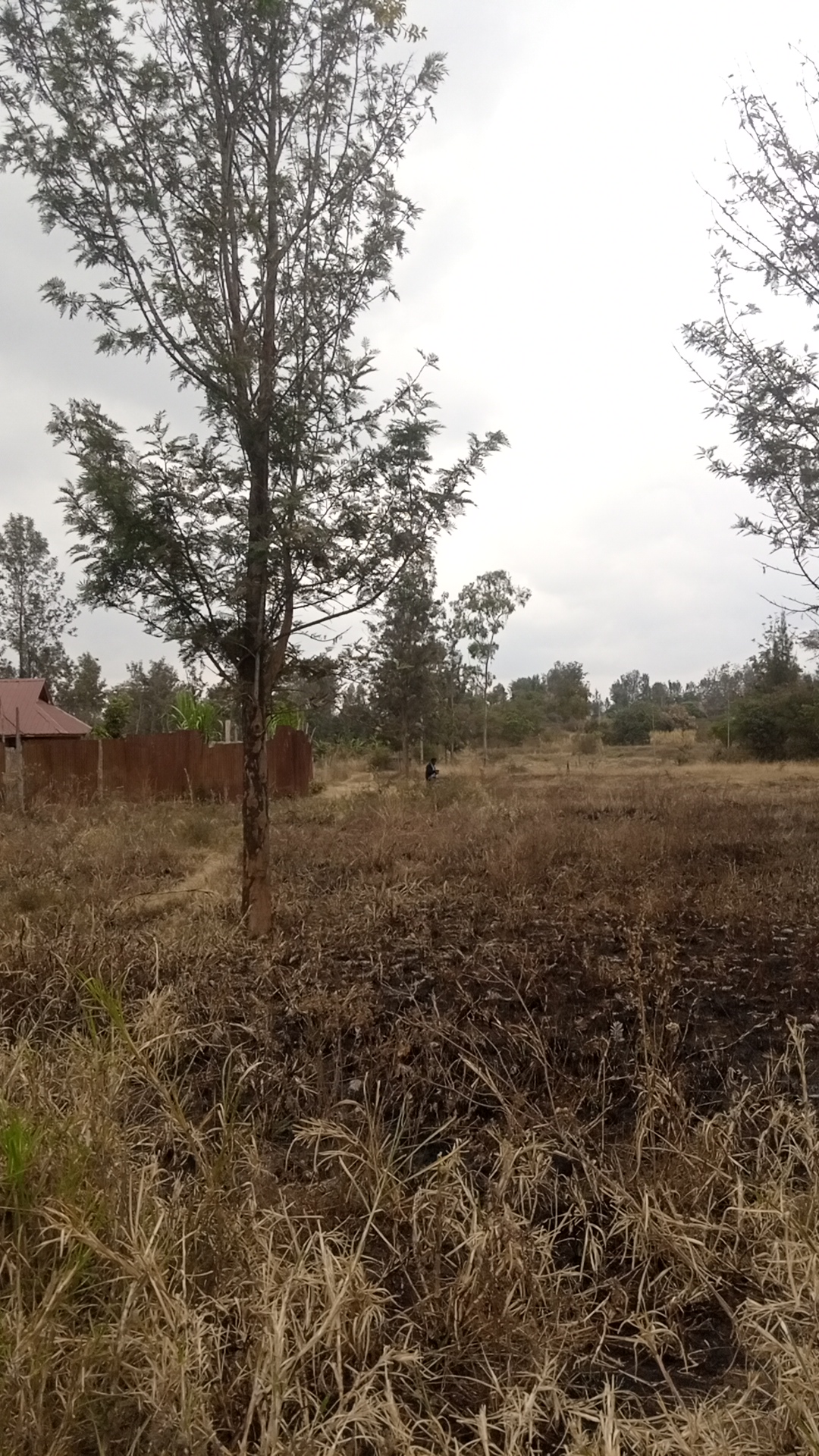 Half acre land at Kshs 11 Million in Kenol town, Karurumo, Kenya