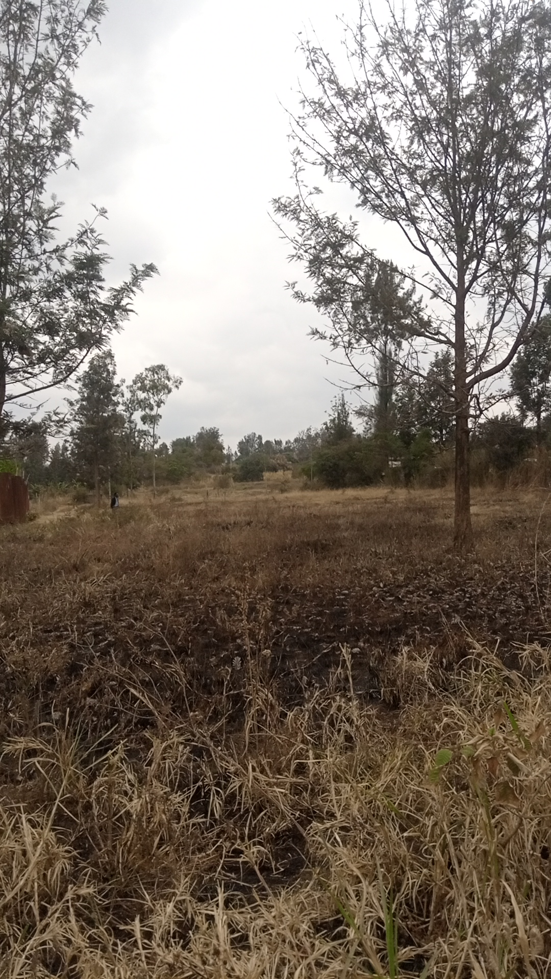 Half acre land at Kshs 11 Million in Kenol town, Karurumo, Kenya - Photo 2