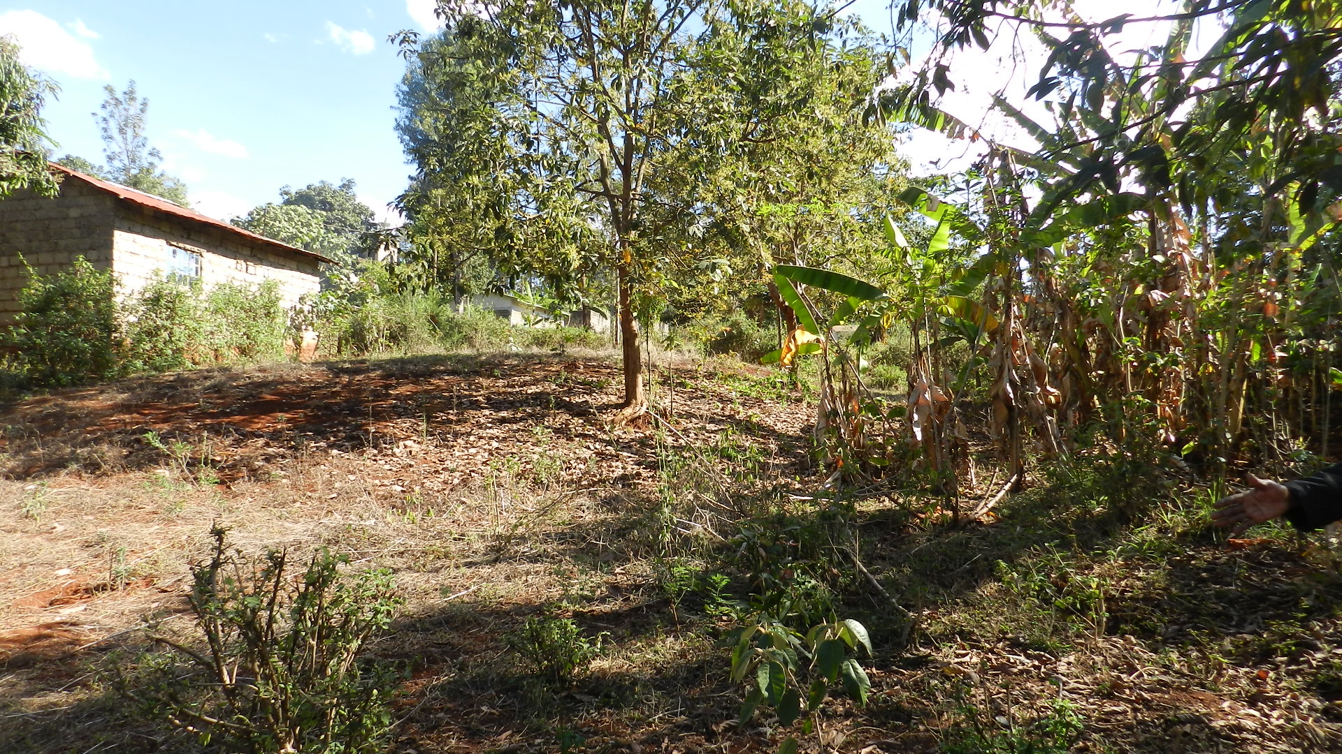 Quater Acre in Gitura Kenol in Gitura, Kagundu-Ini, Kenya - Photo 4