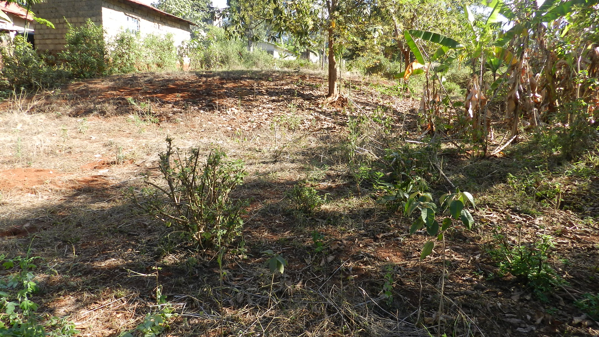 Quater Acre in Gitura Kenol in Gitura, Kagundu-Ini, Kenya - Photo 5