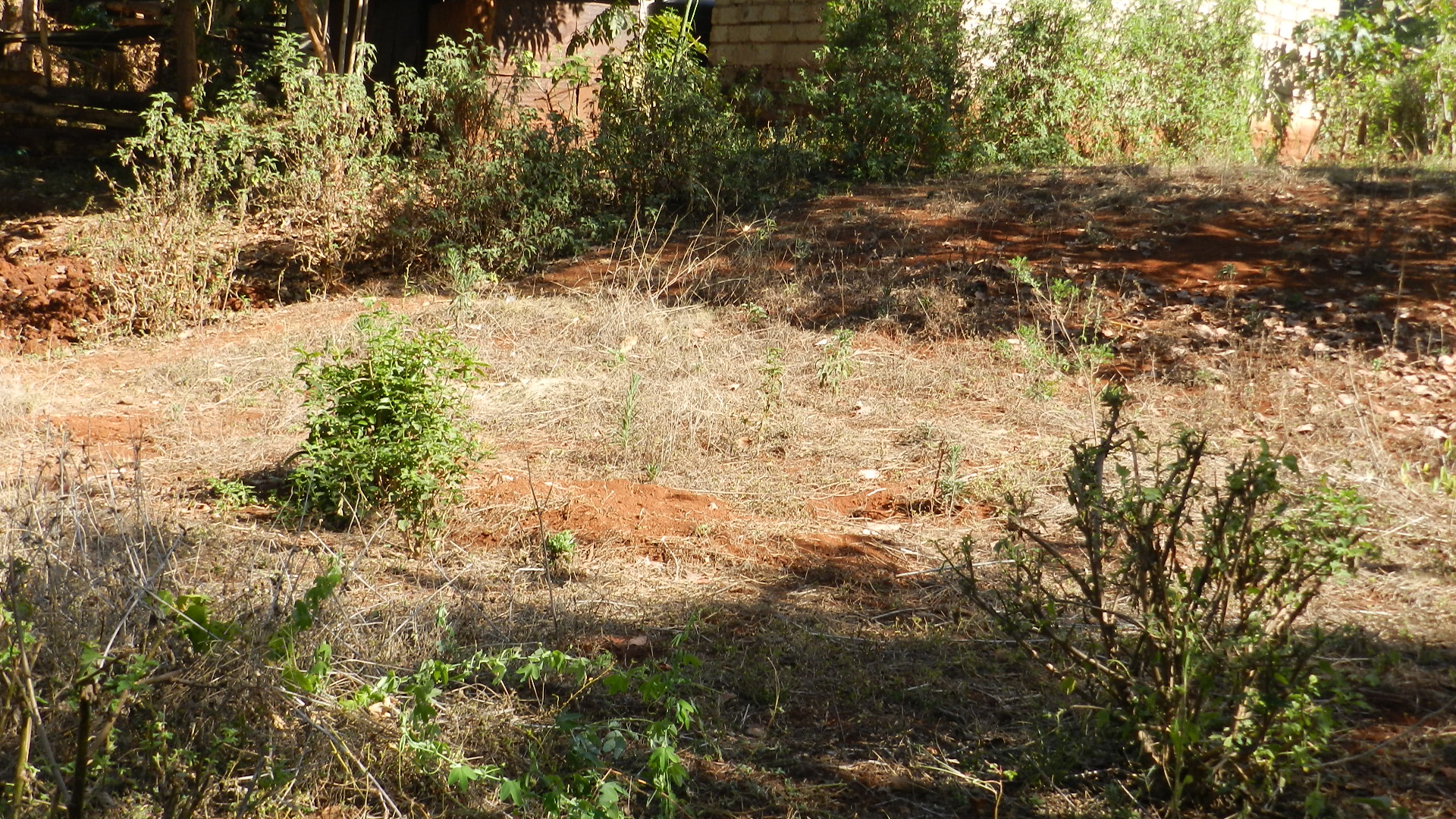 Quater Acre in Gitura Kenol in Gitura, Kagundu-Ini, Kenya - Photo 3